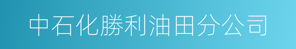 中石化勝利油田分公司的同義詞