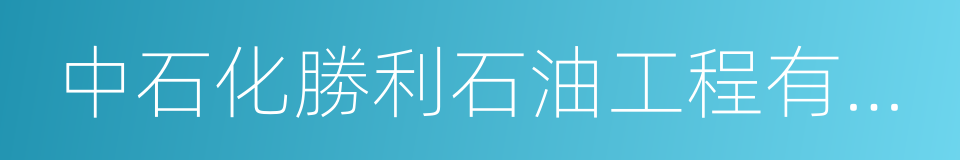 中石化勝利石油工程有限公司的同義詞