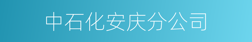 中石化安庆分公司的同义词