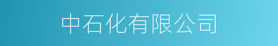 中石化有限公司的同义词