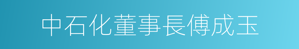 中石化董事長傅成玉的同義詞