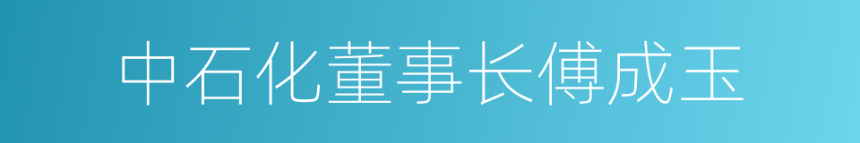 中石化董事长傅成玉的同义词