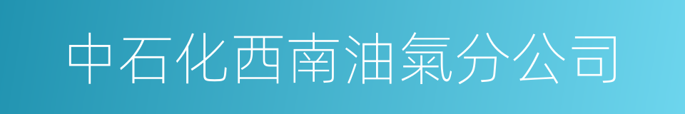 中石化西南油氣分公司的同義詞