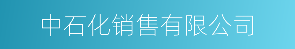 中石化销售有限公司的同义词