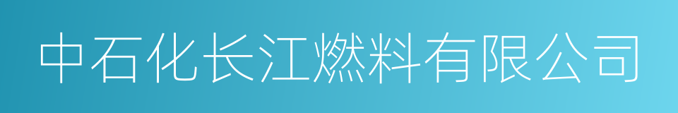 中石化长江燃料有限公司的同义词