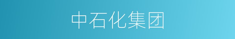 中石化集团的同义词