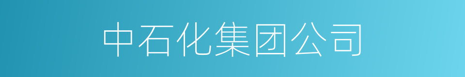 中石化集团公司的同义词