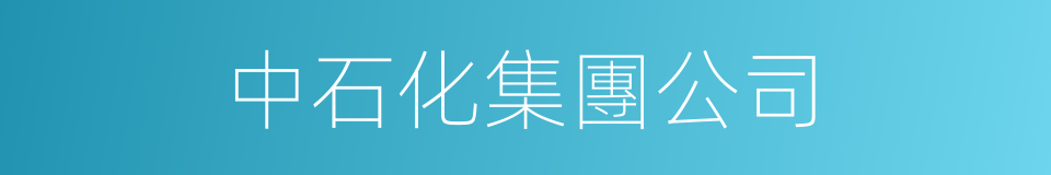 中石化集團公司的同義詞