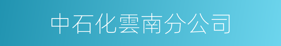 中石化雲南分公司的同義詞