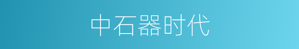 中石器时代的意思