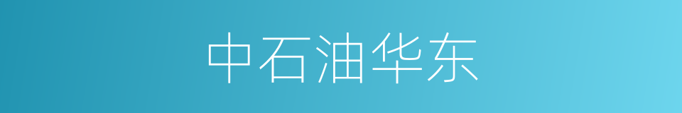 中石油华东的同义词