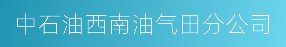 中石油西南油气田分公司的意思