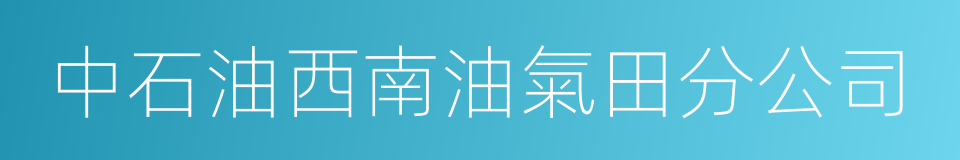 中石油西南油氣田分公司的同義詞