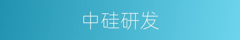 中硅研发的同义词