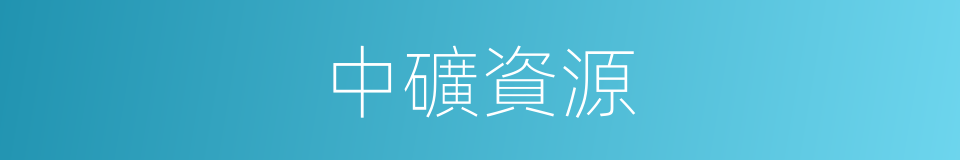 中礦資源的同義詞