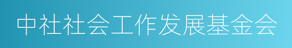 中社社会工作发展基金会的同义词