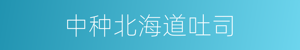 中种北海道吐司的同义词