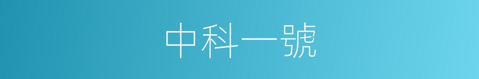 中科一號的同義詞