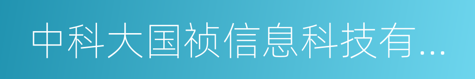 中科大国祯信息科技有限责任公司的同义词