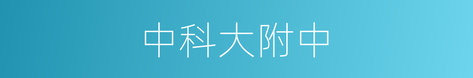 中科大附中的同义词