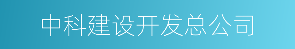 中科建设开发总公司的意思