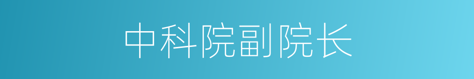 中科院副院长的同义词