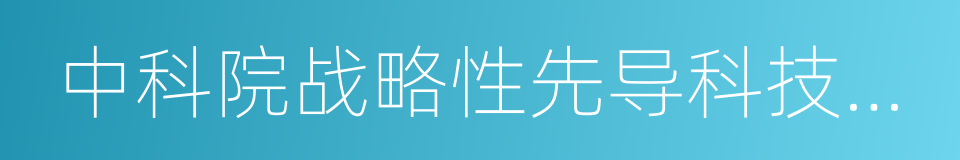 中科院战略性先导科技专项的同义词