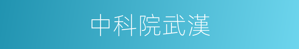 中科院武漢的同義詞