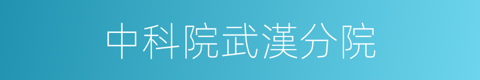 中科院武漢分院的同義詞