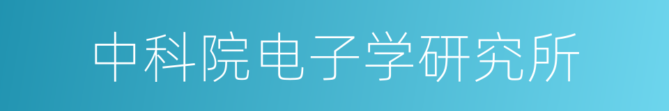 中科院电子学研究所的同义词