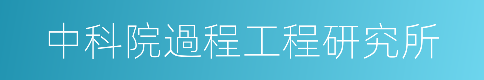 中科院過程工程研究所的同義詞