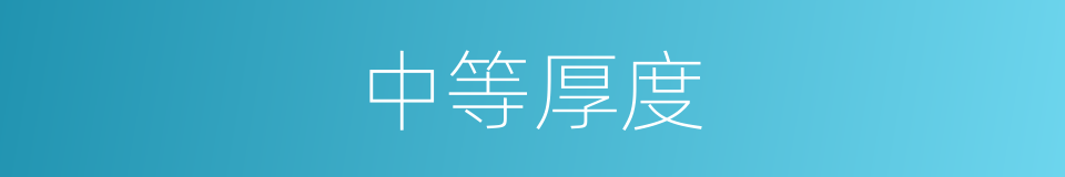 中等厚度的同义词