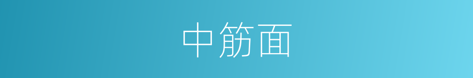 中筋面的同义词