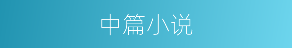 中篇小说的意思