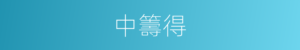 中籌得的同義詞