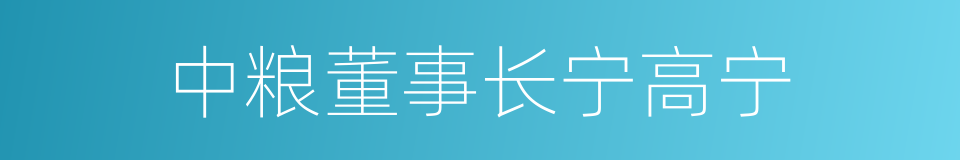 中粮董事长宁高宁的同义词