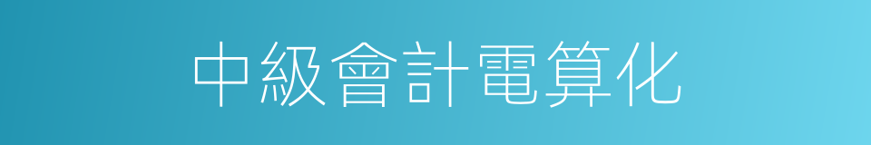 中級會計電算化的同義詞