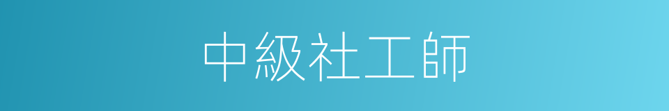 中級社工師的同義詞