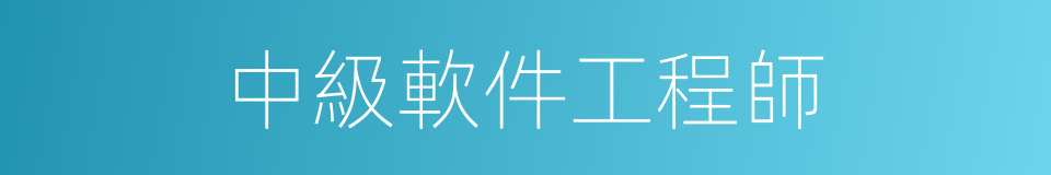 中級軟件工程師的同義詞