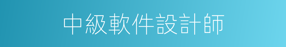 中級軟件設計師的同義詞