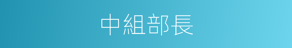 中組部長的同義詞