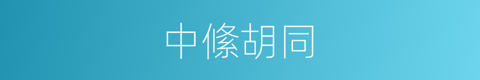 中絛胡同的同義詞