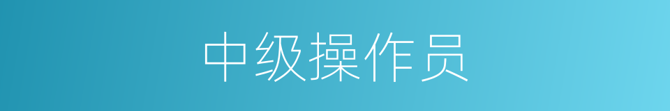 中级操作员的同义词
