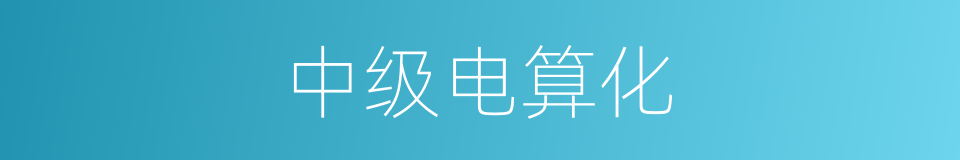中级电算化的同义词