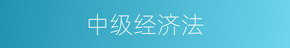 中级经济法的同义词