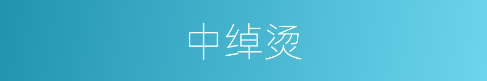 中绰烫的同义词