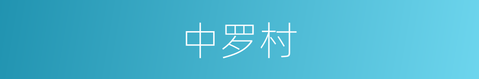 中罗村的同义词