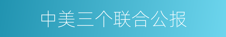 中美三个联合公报的同义词