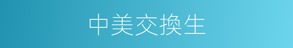 中美交換生的同義詞