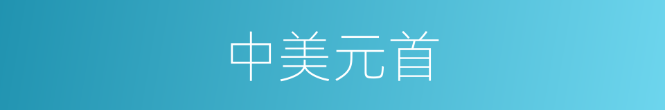 中美元首的同义词